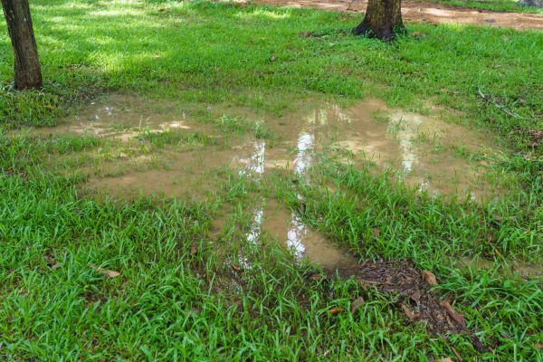 Cost of Storm Water Drainage Service in Manchester