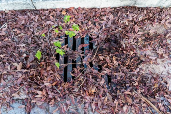 Yard Drain Unclogging in Manchester