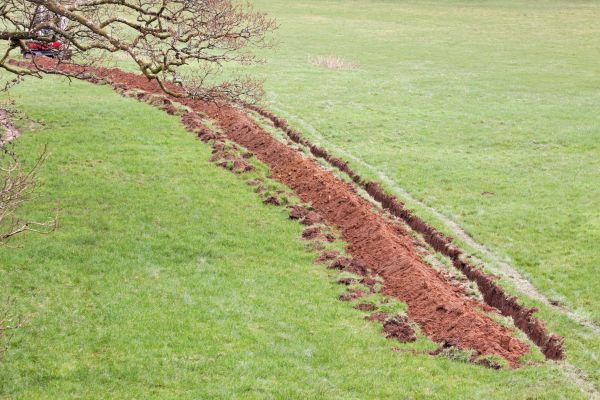 Cost of Swale Installation in Manchester