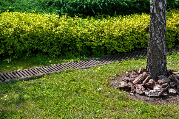 Cost of Residential Landscape Drainage in Manchester