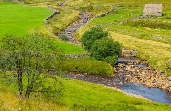 Cost of Swale Repair in Manchester